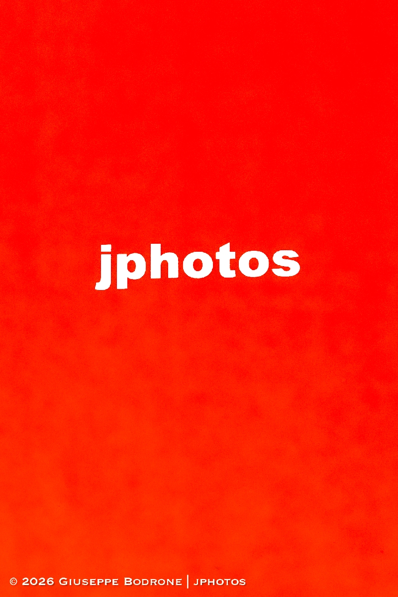 Unicorn Trophy-6798a-2