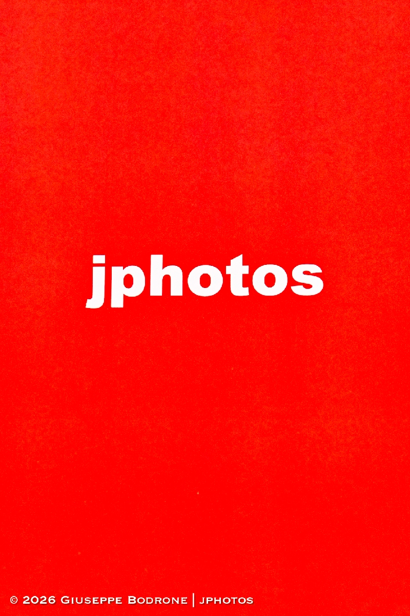 Z-Coupe Printemps-0538