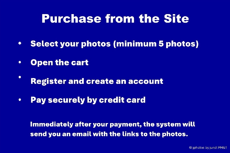 ZZZ-HOW TO BUY.