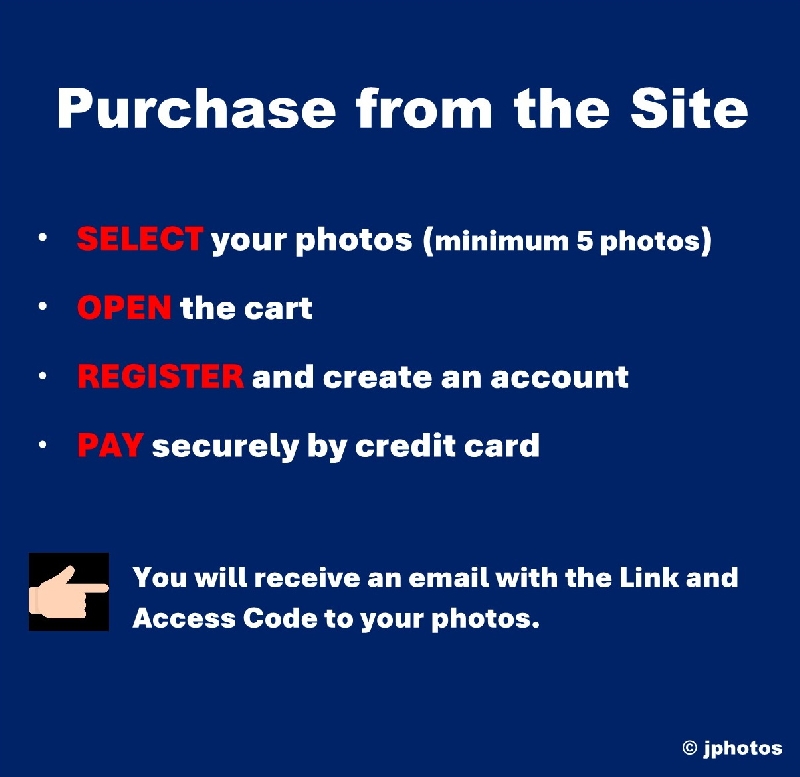 Purchase from the Site.