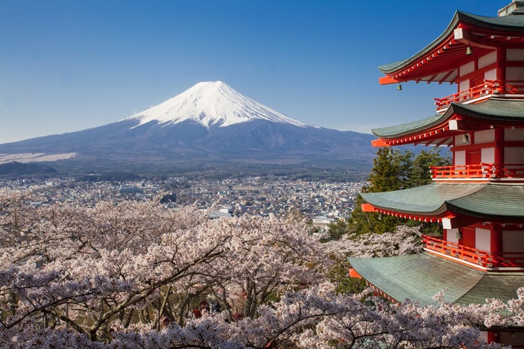 mt fuji