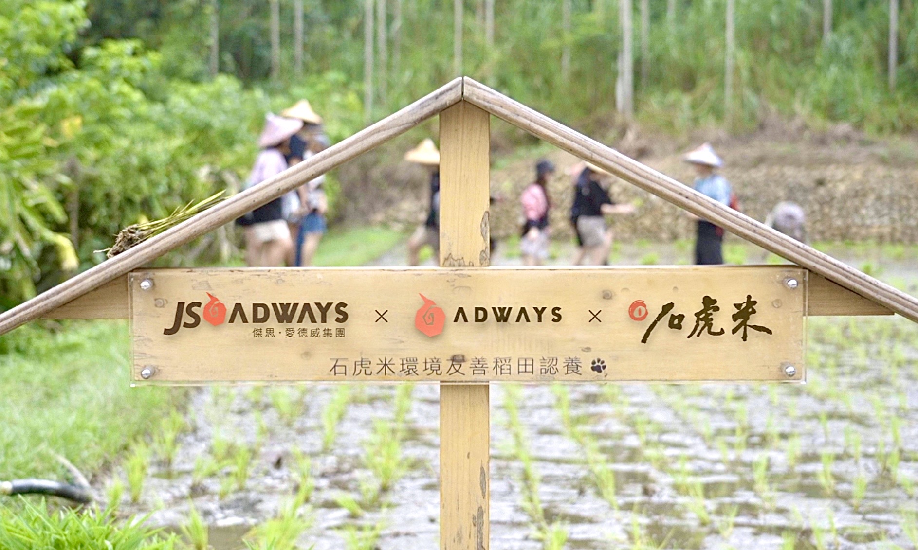 傑思‧愛德威集團與苗栗石虎田合作，契作專屬集團的水田。