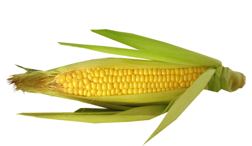 Corn Cob products