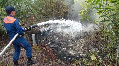 泡消火剤を普及させることで泥炭火災の煙による健康被害、さらには飛行機の欠航などで起こる経済的損失の削減にも貢献したいと川原さんは話す &nbsp; &nbsp; シャボン玉石けん 提供