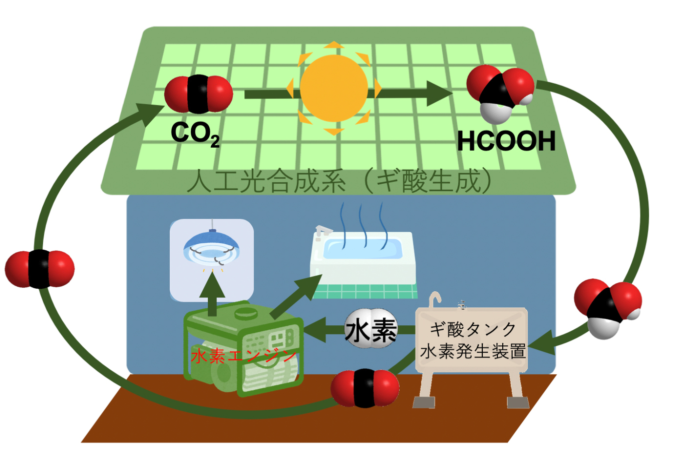 太陽光発電の仕組みとは異なり、人工光合成では二酸化炭素からギ酸へ 、さらにエネルギー源となる水素と二酸化炭素へと変換される。最後に生成された二酸化炭素は再度回収され、人工光合成のサイクルへ還流される　　大阪市立大・人工光合成研究センター 提供