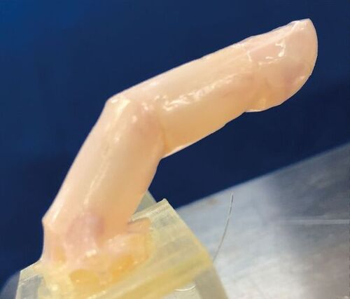 A 3D printer was used to create a robotic skeleton for a human-like finger.&nbsp; &nbsp; &nbsp; Source: University of Tokyo