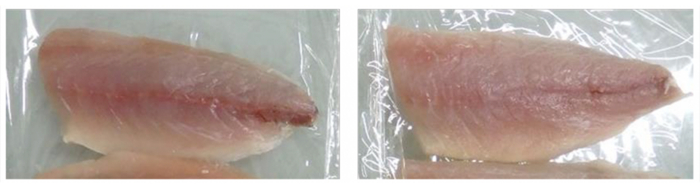 Mackerel sashimi before (left) and after the treatment, which does not affect the fish's taste and texture.&nbsp; &nbsp; &nbsp;Source: Kumamoto University / Japan Seafoods