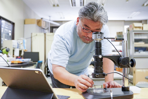 Takao Namihira looks at anisakid parasites through a microscope.&nbsp; &nbsp; &nbsp;Source: J-Stories