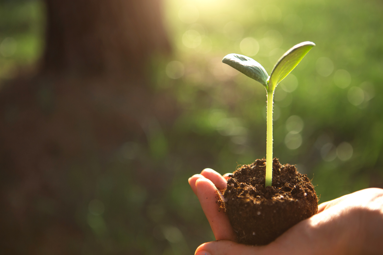 A rooftop farm for all