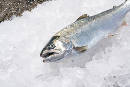 The company is named after a term for young silver-colored salmon making their way to the sea.&nbsp; &nbsp; &nbsp;Source: Smolt&nbsp;<br>