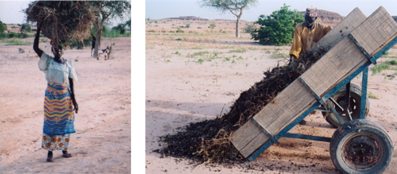 Kitchen waste being scattered on the desert.&nbsp; &nbsp; &nbsp;Source: Shuichi Oyama