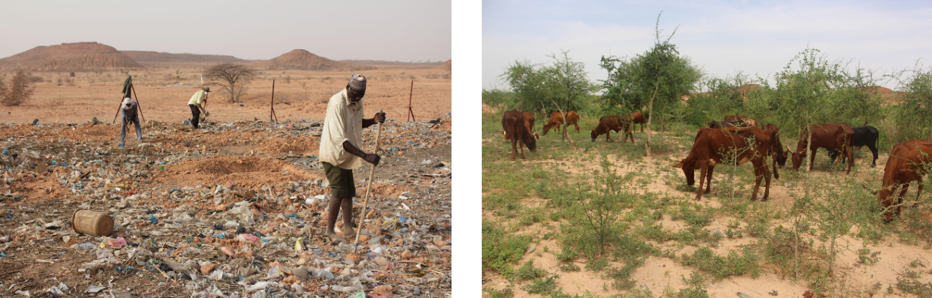 Covering land with 4.5 cm of waste produces fertile topsoil 15 cm deep, enough for hardy local plants.&nbsp; &nbsp; &nbsp;Source: Shuichi Oyama