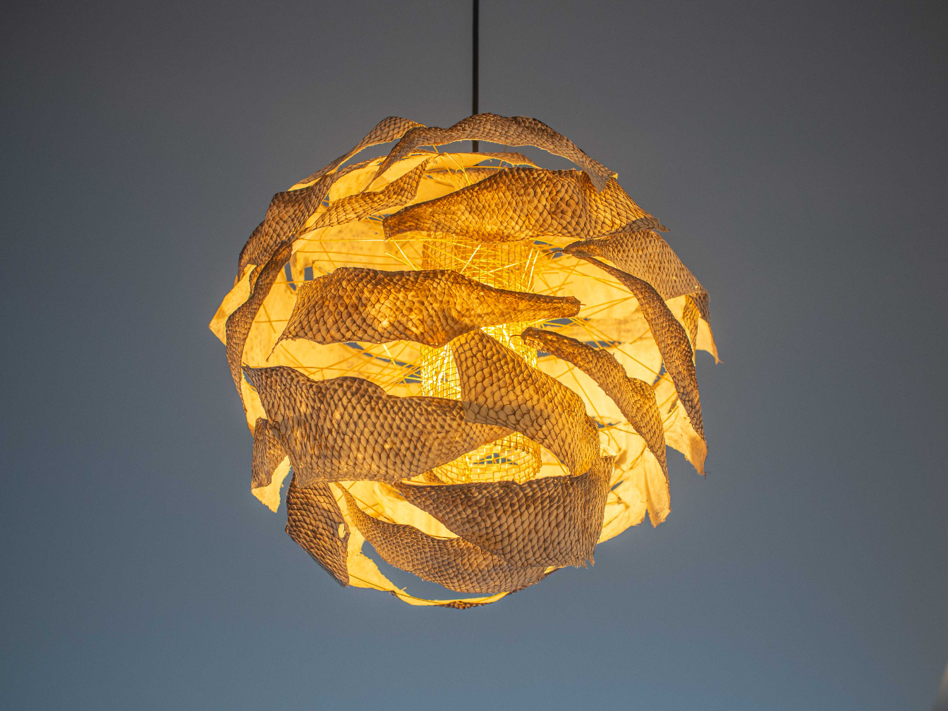 A light shade made from fish skin leather. &nbsp; &nbsp; Source: Courtesy of Think Sea Co.