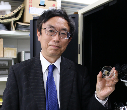 Unveiling the future of electronics: Saga University develops world's first diamond semiconductor power circuit