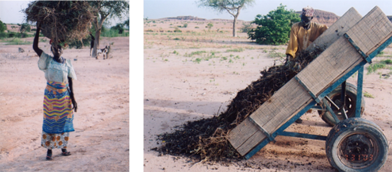 <i>Kitchen waste being scattered on the desert.&nbsp; &nbsp; &nbsp;Source: Shuichi Oyama</i>