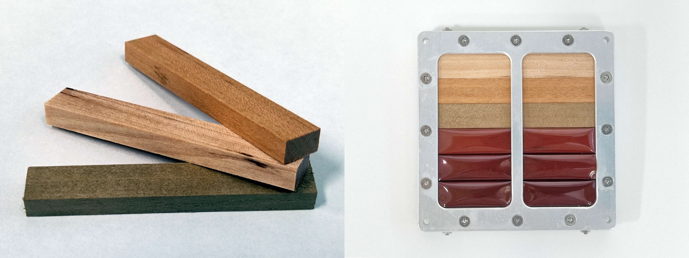 Magnolia, cherry, and birch wood samples that have been exposed to space. &nbsp; &nbsp; Source: Kyoto University and Sumitomo Forestry