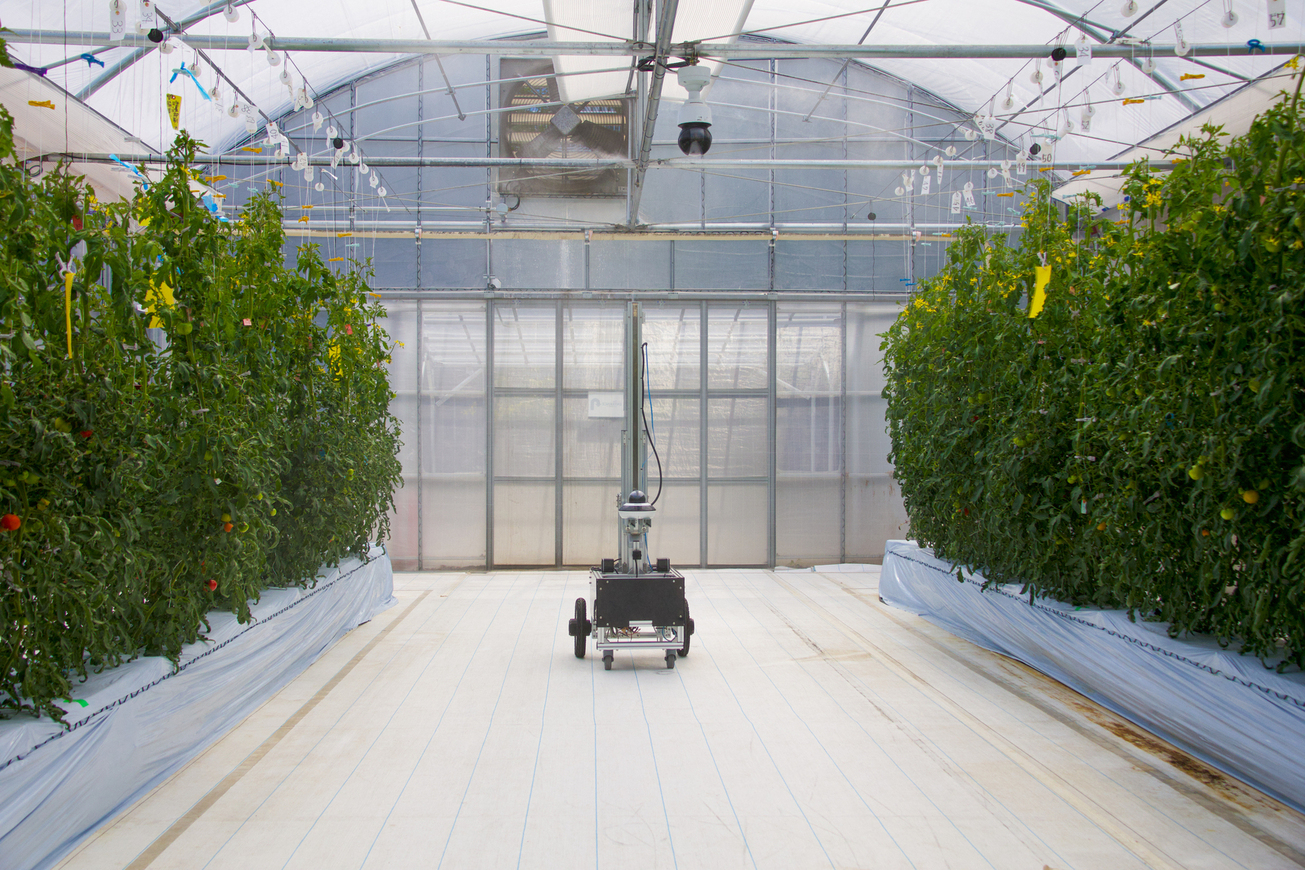 &nbsp;A 4K camera that can roam around the greenhouse.&nbsp; &nbsp; &nbsp;Photo by Emi Takahata