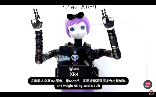 Humanoid service robot&nbsp; &nbsp; &nbsp;Source: PRO ROBOT