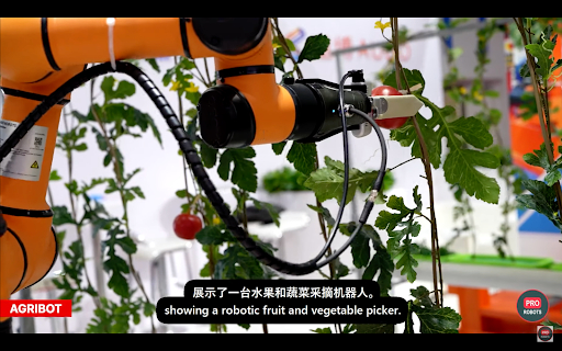 Agricultural robot picking ripe cherry tomatoes&nbsp; &nbsp; &nbsp; Source: PRO ROBOT