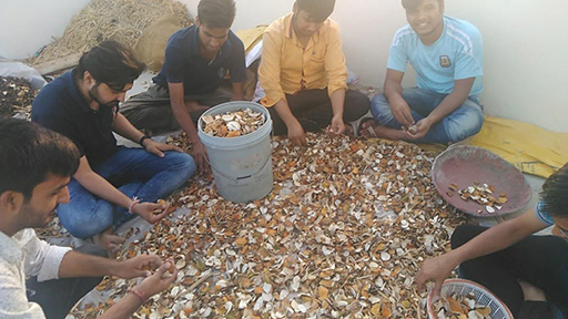 The orange peel used to make the polymer was carefully sorted by hand. (Photo taken around the time of the EF Polymer’s establishment.) Source: EF Polymer&nbsp;