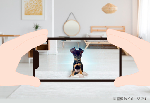 ＡＲで再現した愛犬の様々な姿や動きを、スマホに映し出すことができる（写真はSASUKE TOKYOによるイメージ）。&nbsp; &nbsp; &nbsp;SASUKE TOKYO 提供