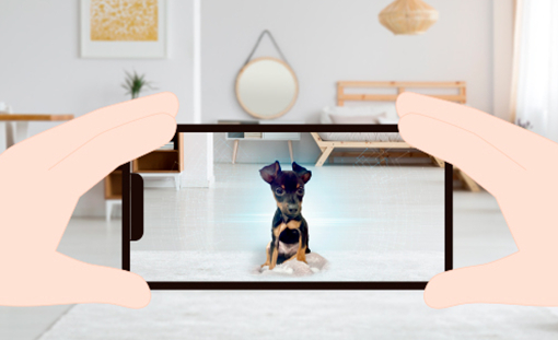 Using augmented reality to reunite pet owners with their deceased dogs