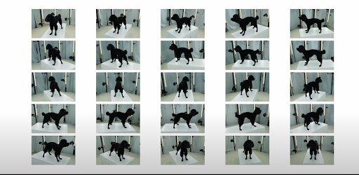 The 360-degree photos are used to create moving images of deceased pets.&nbsp; &nbsp; &nbsp; Source: Sasuke Tokyo