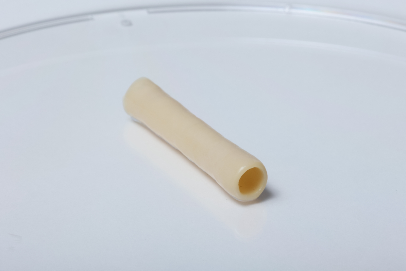 3Dバイオプリンターで作成された血管　 （提供：サイフューズ）&nbsp;