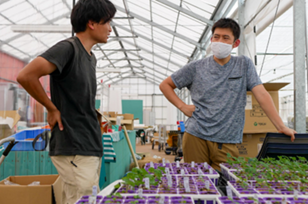 CEO Shuhei Noaki (left) talks with one of the 15 farmers Culta has a contract with. 