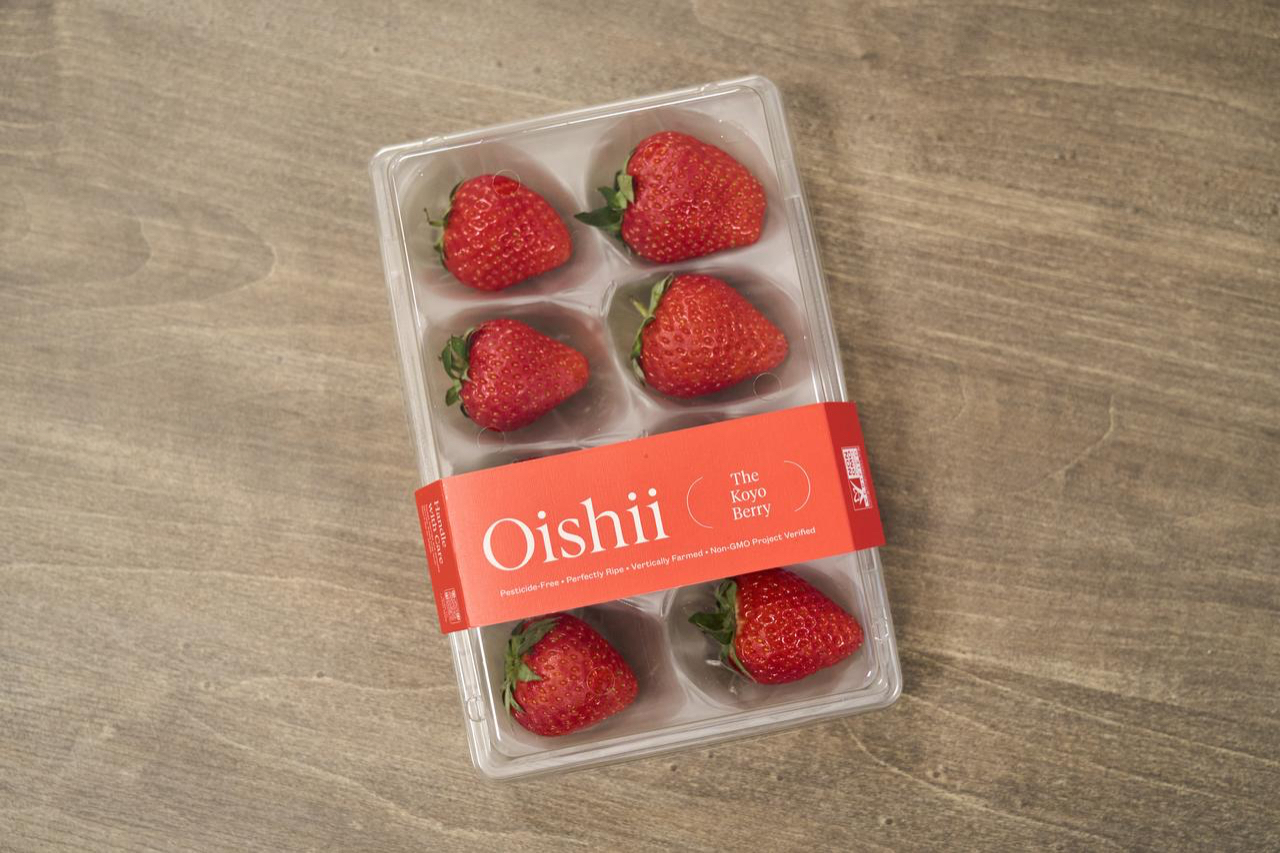 Oishii Farm's signature Koyo Berry, grown in vertical farms &nbsp; &nbsp;Photo by Fujishima Ryo | Tokyo Updates  
