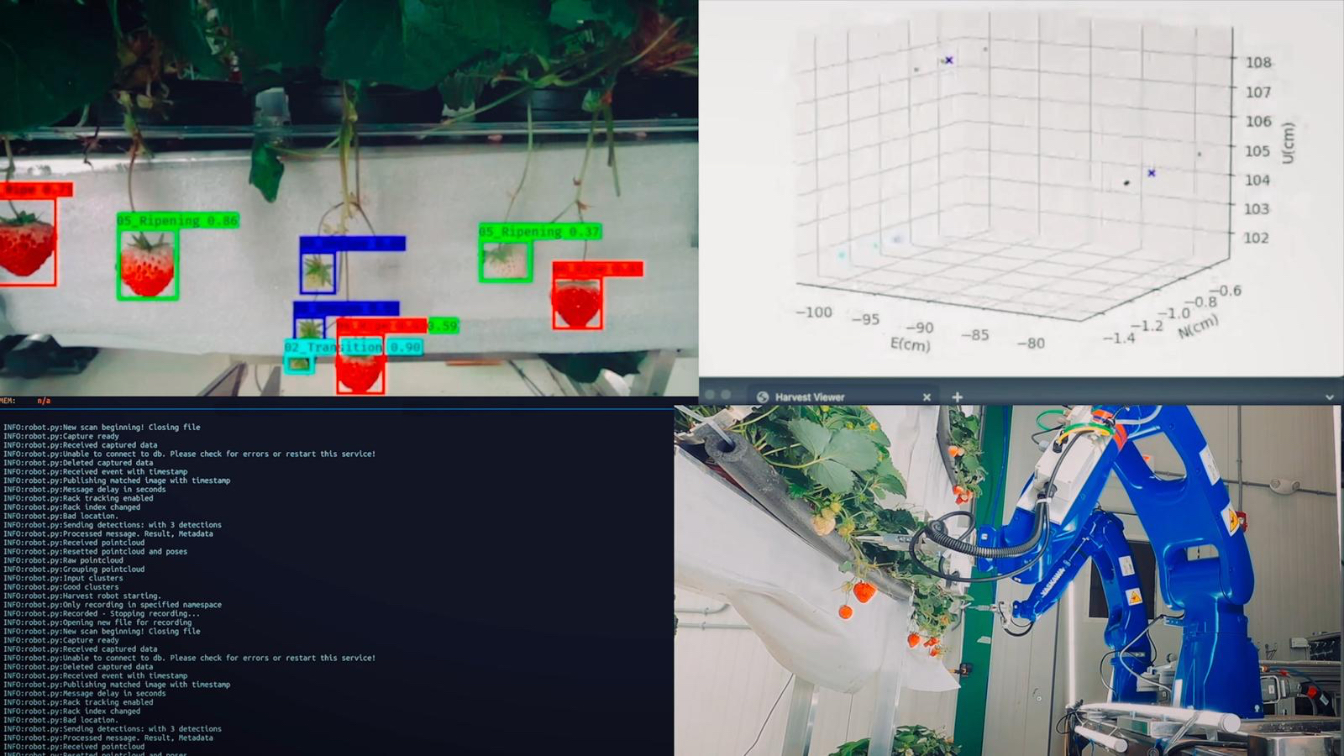 Examples of how Oishii Farm integrates innovative technology, such as robotics and monitoring systems, into farming &nbsp; &nbsp;Photo: Courtesy of Oishii Farm &nbsp;&nbsp;