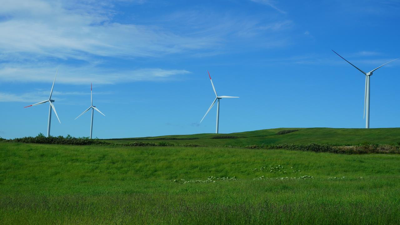 The Wind Farm Toyotomi &nbsp; &nbsp; Photo: Courtesy of Looop