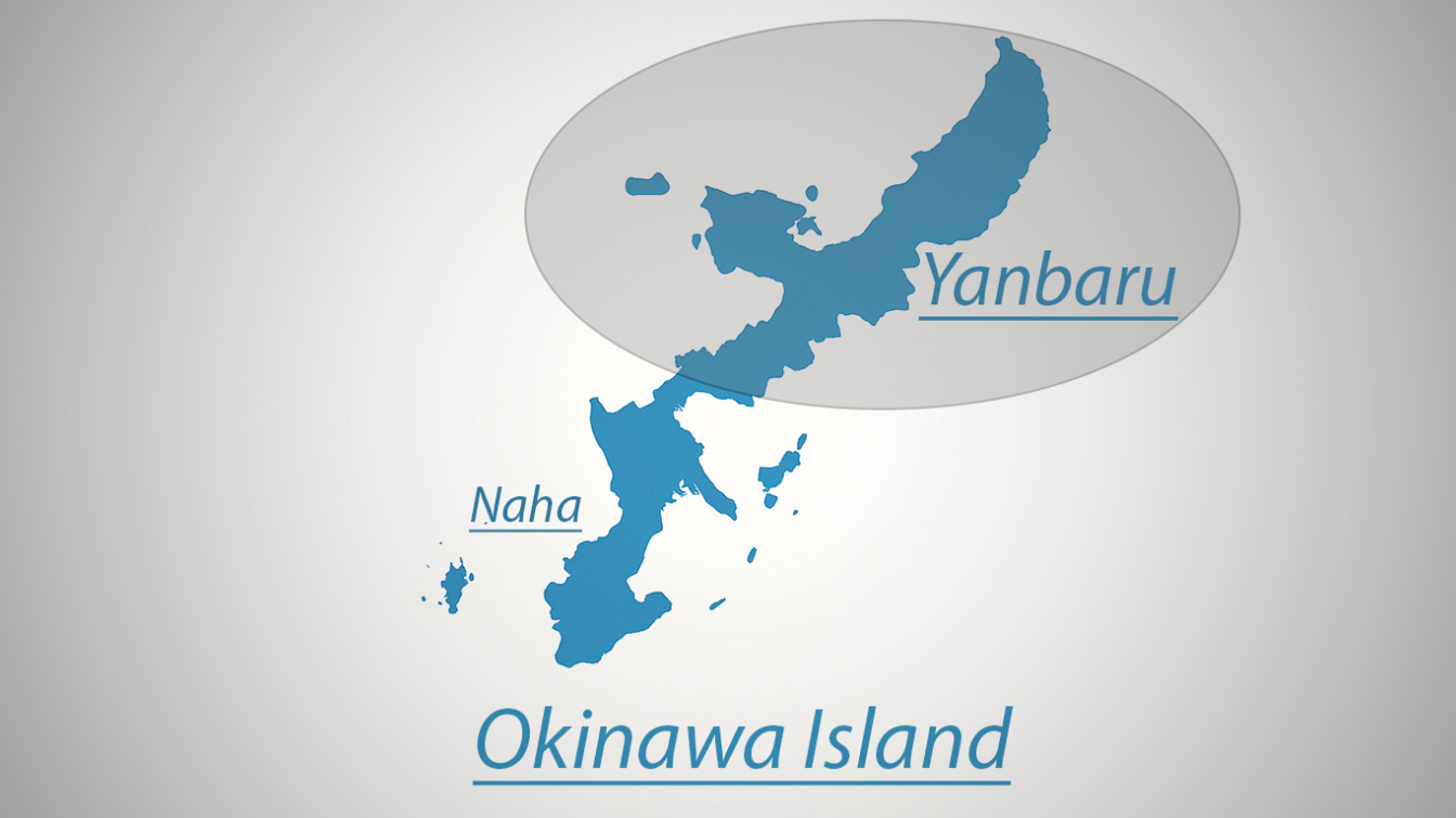 「やんばる」地域は沖縄県・本島の北部に位置している。 画像制作:JStories