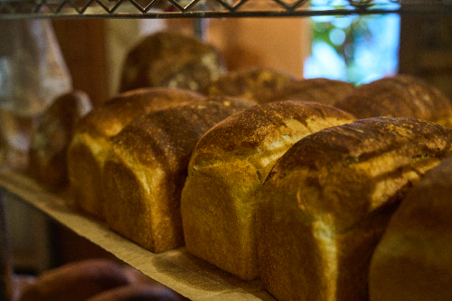 Starting a sustainable wood-fired bakery in Tokyo