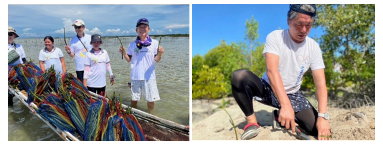 With the cooperation of the Philippine government and Kanepackage Co., which has local production facilities, Sakurai continues mangrove planting efforts on Cebu Island (right). To date, 15 million mangrove trees have been planted