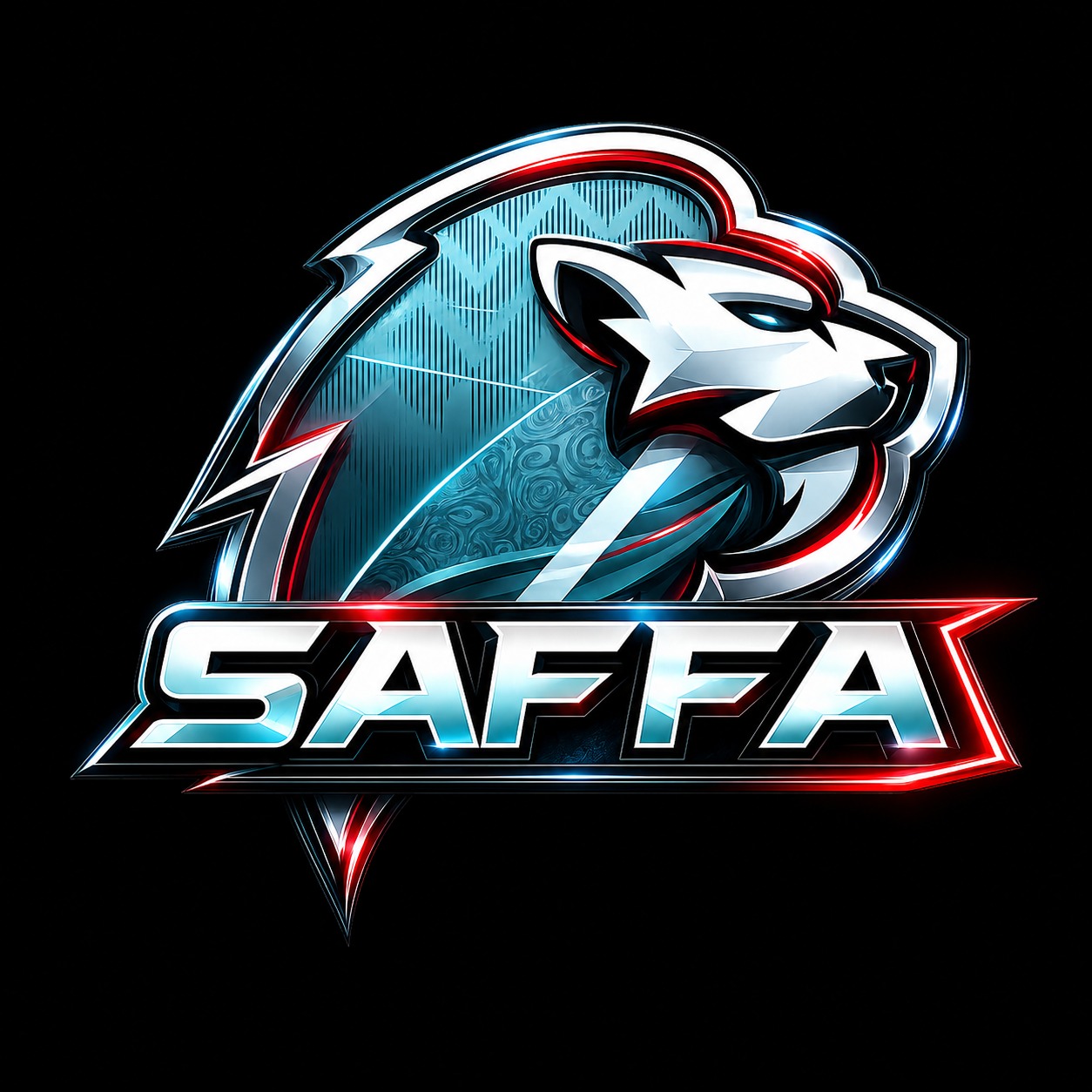 SAFFA Sim Racers