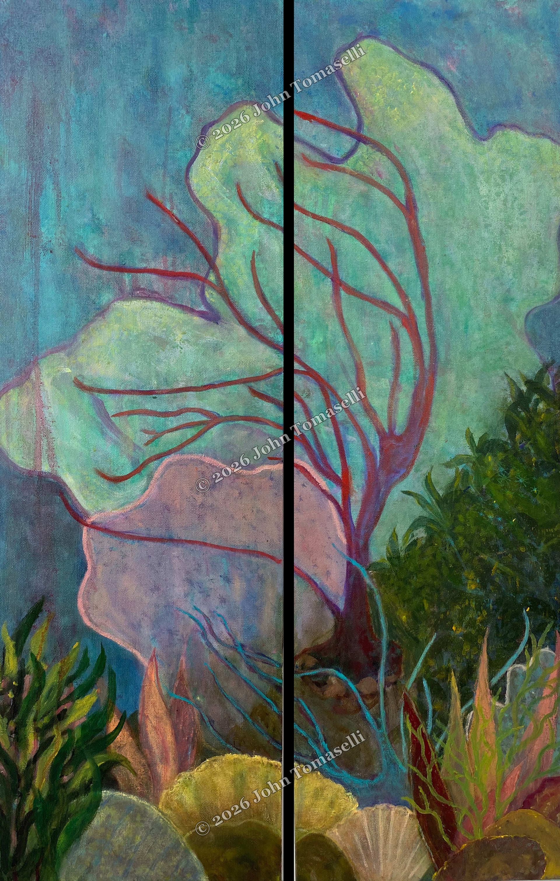 Iridescent Sea Fan