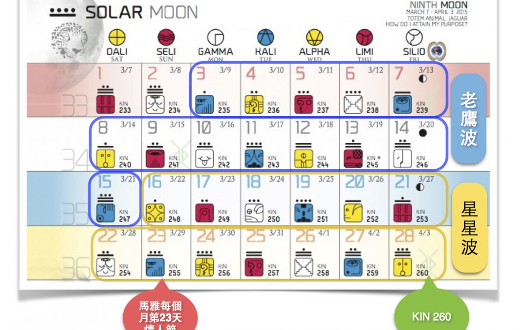 太陽豹之月＆老鷹波|確認我的目的是什麼並種下美好的種子