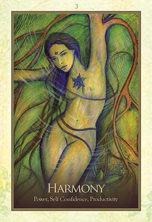 蓋亞神諭卡|Gaia Oracle Card|45張,活生生會呼吸的實體是我們的女神、母親與倒影,贈中文翻譯:圖片 11