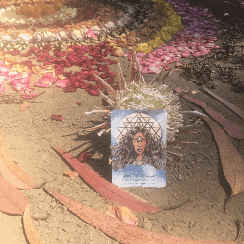 睿智月神諭卡 - 典藏木盒版|The Moon Deck|源自月亮的周期性美感,贈中文翻譯:圖片 10