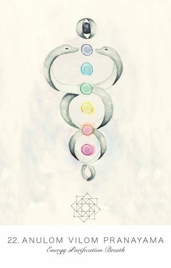 地空瑜伽神諭卡 - 美國遊戲普及版|Land Sky Oracle Decks|49張,與大自然同頻共振,贈中文翻譯:圖片 6