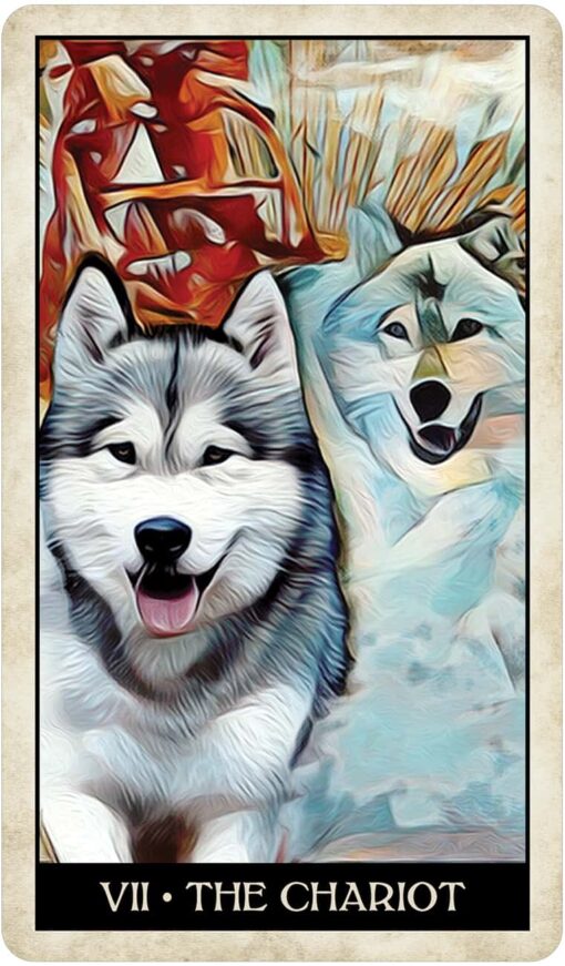 Wise Dog Tarot-2