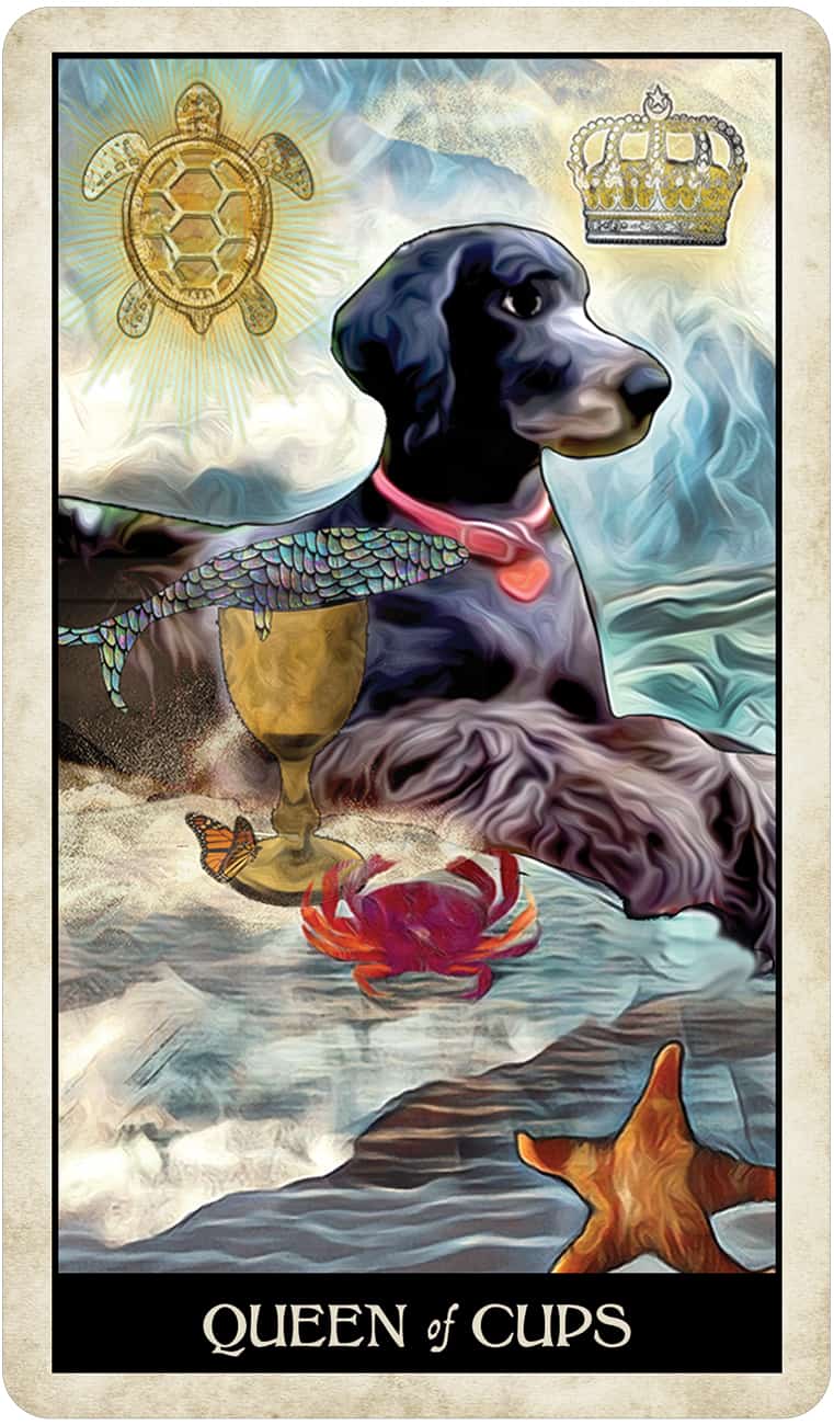 Wise Dog Tarot-5