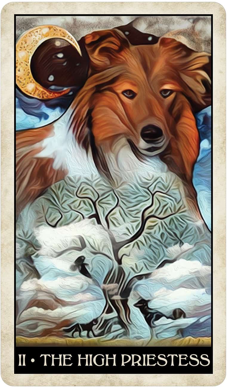 Wise Dog Tarot-1