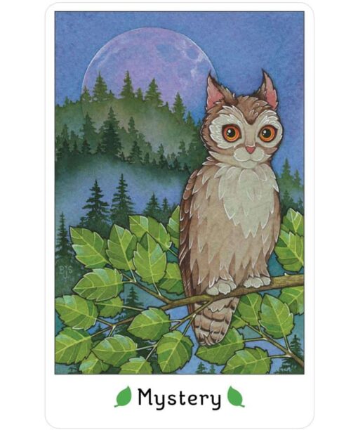 Affirmations of the Fairy Cats Deck and Book Set-2