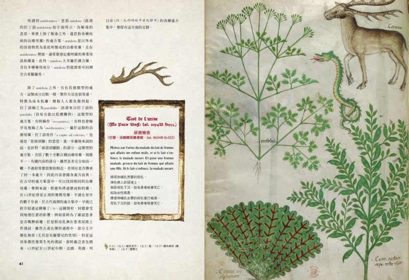 Medieval-Herb-History-7