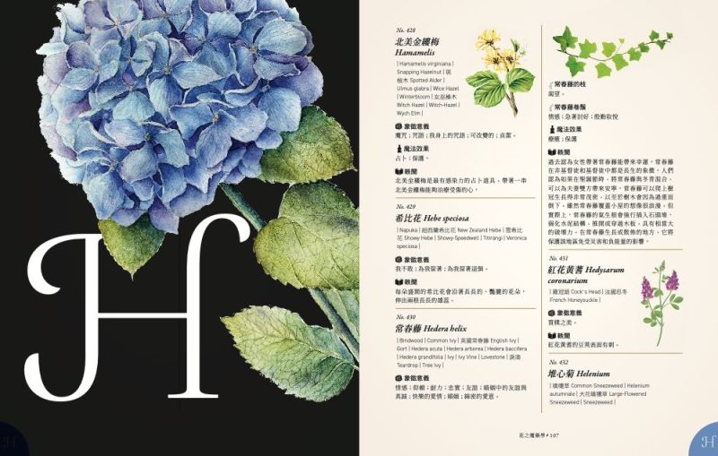 Potion-of-Flowers-kinds-of-flowe-11