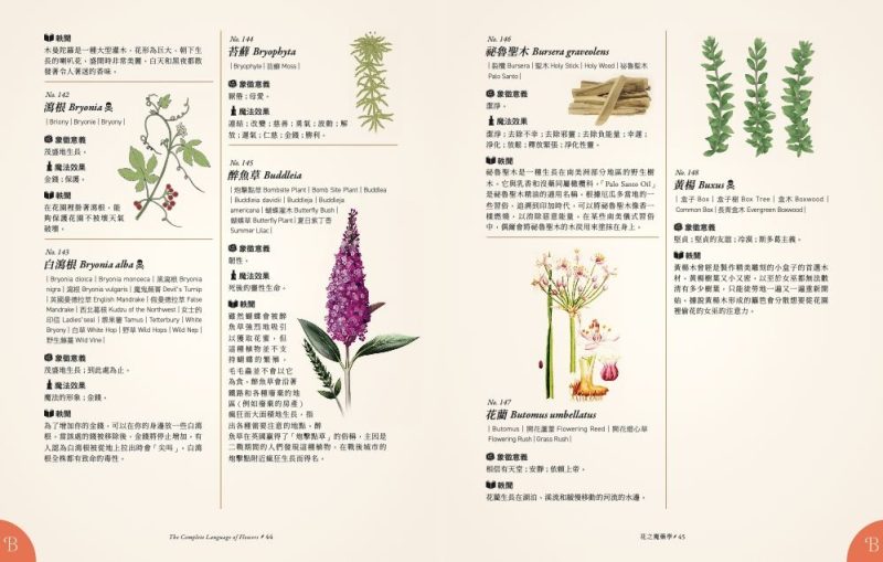 Potion-of-Flowers-kinds-of-flowe-6