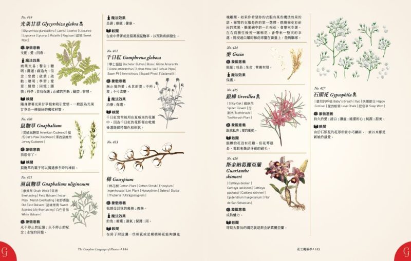Potion-of-Flowers-kinds-of-flowe-10