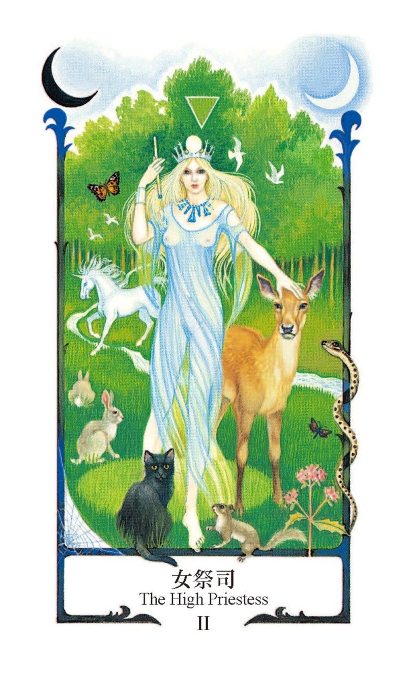 Ancient-Path-TarotFullcolor-Inte-3